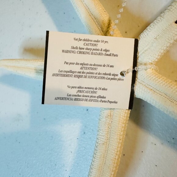 White Starfish Shell Beach Decoration Coastal Beach Home Decor & Crafts - Picture 3 of 7